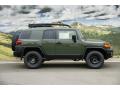  2011 Toyota FJ Cruiser Army Green #2