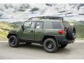  2011 Toyota FJ Cruiser Army Green #3