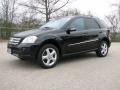 2008 Mercedes-Benz ML Black #1 2008 Mercedes-Benz ML Black #1
