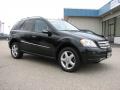 2008 Mercedes-Benz ML Black #3 2008 Mercedes-Benz ML Black #3