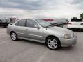  2002 Nissan Sentra Radium Gray #6