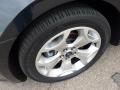 2010 Taurus SHO AWD #12 2010 Taurus SHO AWD #12