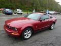 2008 Mustang V6 Premium Coupe #5