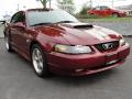 2004 Mustang GT Coupe #1