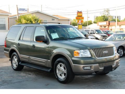 Estate Green Metallic Ford Expedition Eddie Bauer.  Click to enlarge.