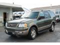 Front 3/4 View of 2003 Ford Expedition Eddie Bauer #2