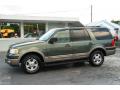  2003 Ford Expedition Estate Green Metallic #3