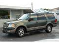 2003 Expedition Eddie Bauer #4