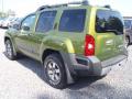  2011 Nissan Xterra Metallic Green #3