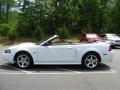 2004 Mustang GT Convertible #8