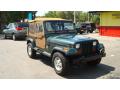 Front 3/4 View of 1994 Jeep Wrangler Sahara 4x4 #1
