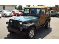 1994 Wrangler Sahara 4x4 #7