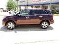 2011 MDX Technology #3