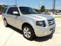 2010 Ford Expedition Ingot Silver Metallic #2