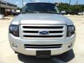  2010 Ford Expedition Ingot Silver Metallic #5