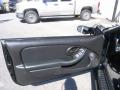 Door Panel of 2002 Pontiac Firebird Trans Am WS-6 Coupe #17 Door Panel of 2002 Pontiac Firebird Trans Am WS-6 Coupe #17
