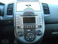 Controls of 2010 Kia Soul + #17