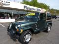 2002 Wrangler Sahara 4x4 #1