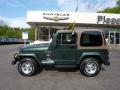 2002 Wrangler Sahara 4x4 #2