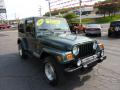 2002 Wrangler Sahara 4x4 #7