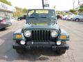 2002 Wrangler Sahara 4x4 #8