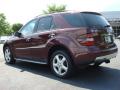 2008 ML 320 CDI 4Matic #4