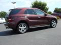2008 ML 320 CDI 4Matic #5
