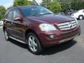 2008 ML 320 CDI 4Matic #7