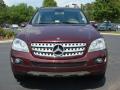 2008 ML 320 CDI 4Matic #8