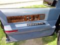 Door Panel of 1996 Cadillac Fleetwood Brougham #14