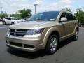 2011 Journey Mainstreet AWD #1 2011 Journey Mainstreet AWD #1