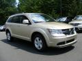 Front 3/4 View of 2011 Dodge Journey Mainstreet AWD #2 Front 3/4 View of 2011 Dodge Journey Mainstreet AWD #2