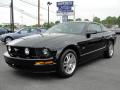 2006 Mustang GT Deluxe Coupe #2 2006 Mustang GT Deluxe Coupe #2