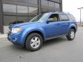 2010 Escape XLT #1