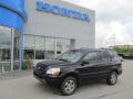  2003 Honda Pilot Nighthawk Black Pearl #1
