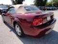 2004 Mustang V6 Convertible #3