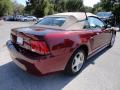 2004 Mustang V6 Convertible #10