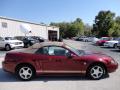  2004 Ford Mustang 40th Anniversary Crimson Red Metallic #11