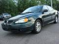 2002 Grand Am SE Sedan #1