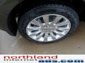 2011 MKX Limited Edition AWD #8