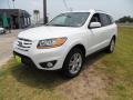 2011 Santa Fe Limited #7 2011 Santa Fe Limited #7