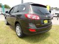 2011 Santa Fe Limited #5