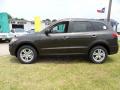 2011 Santa Fe Limited #6