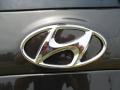  2011 Hyundai Santa Fe Logo #19