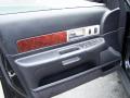 Door Panel of 2004 Lincoln LS V8 #8