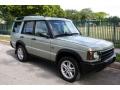  2003 Land Rover Discovery Vienna Green #11