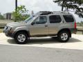  2002 Nissan Xterra Gold Rush Metallic #8