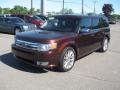 Front 3/4 View of 2010 Ford Flex Limited EcoBoost AWD #12