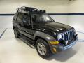 2005 Liberty Renegade 4x4 #4