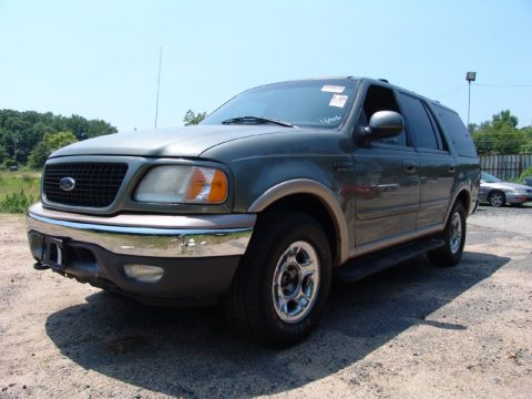 Spruce Green Metallic Ford Expedition Eddie Bauer 4x4.  Click to enlarge.